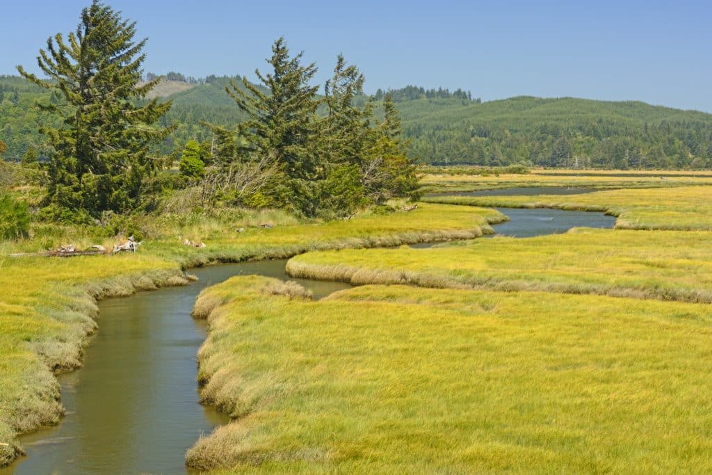 Getijdenmoeras in Coos Bay, Oregon
