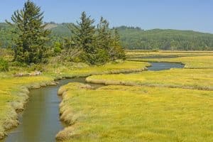 Getijdenmoeras in Coos Bay, Oregon