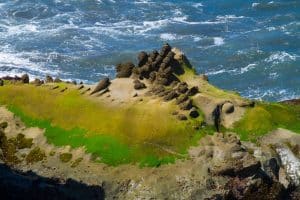 Rotsformatie met mos in Coos Bay, Oregon