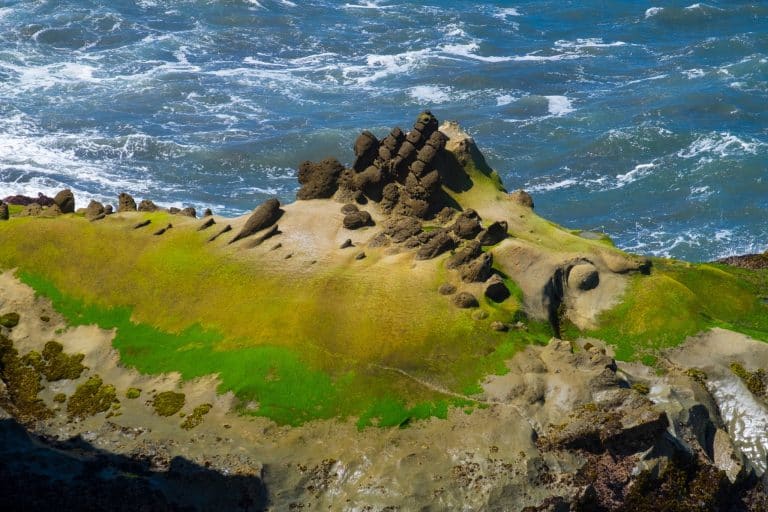 Rotsformatie met mos in Coos Bay, Oregon