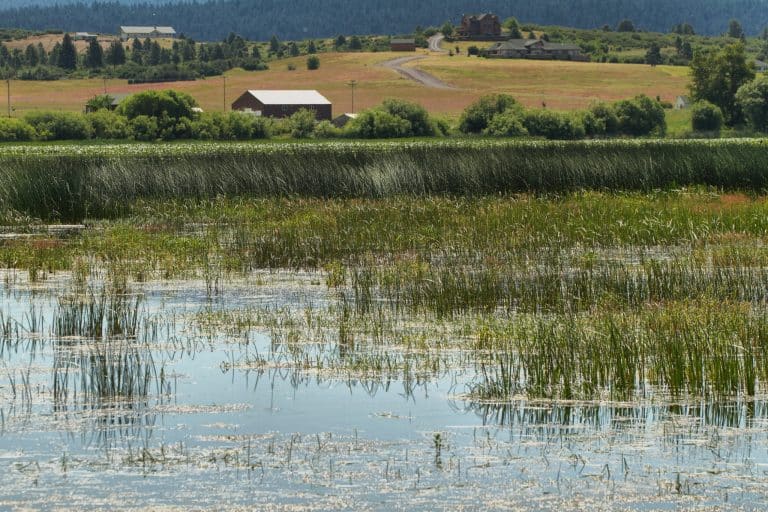 Getijdenmoeras met boerderijen in Klamath Falls, Oregon