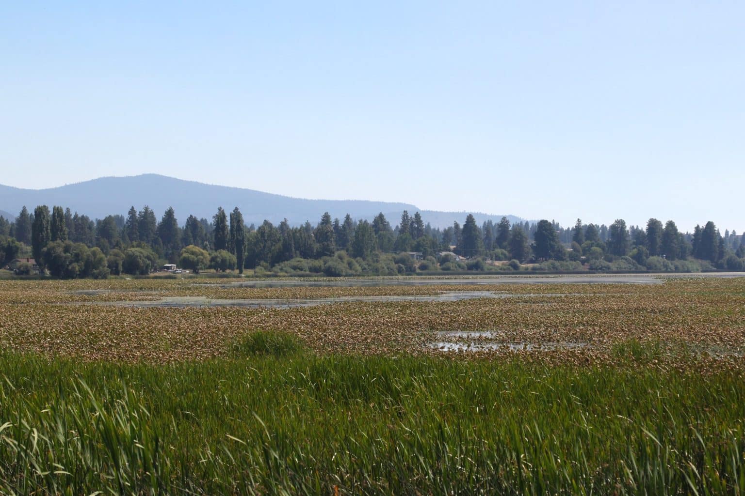 Meren en bossen in Klamath Falls, Oregon