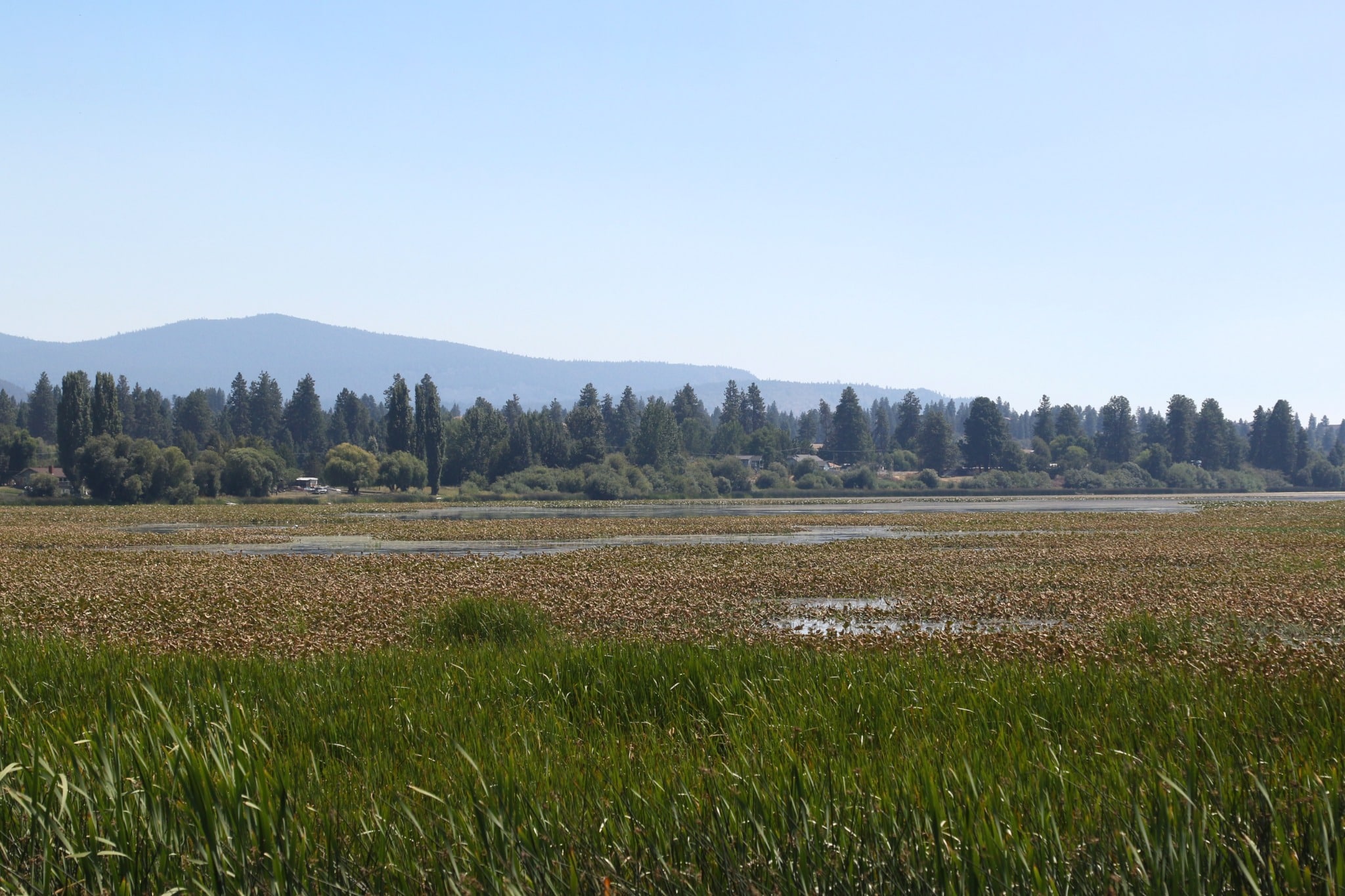 Meren en bossen in Klamath Falls, Oregon