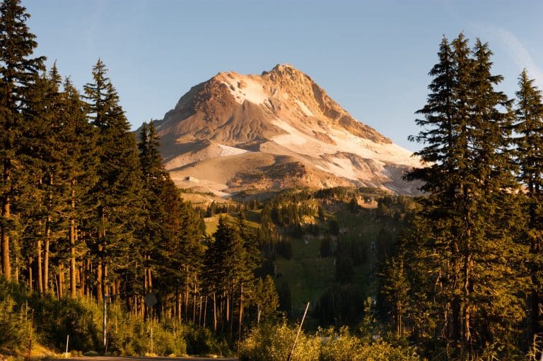 Mount Hood gezien vanaf bosrand in Oregon