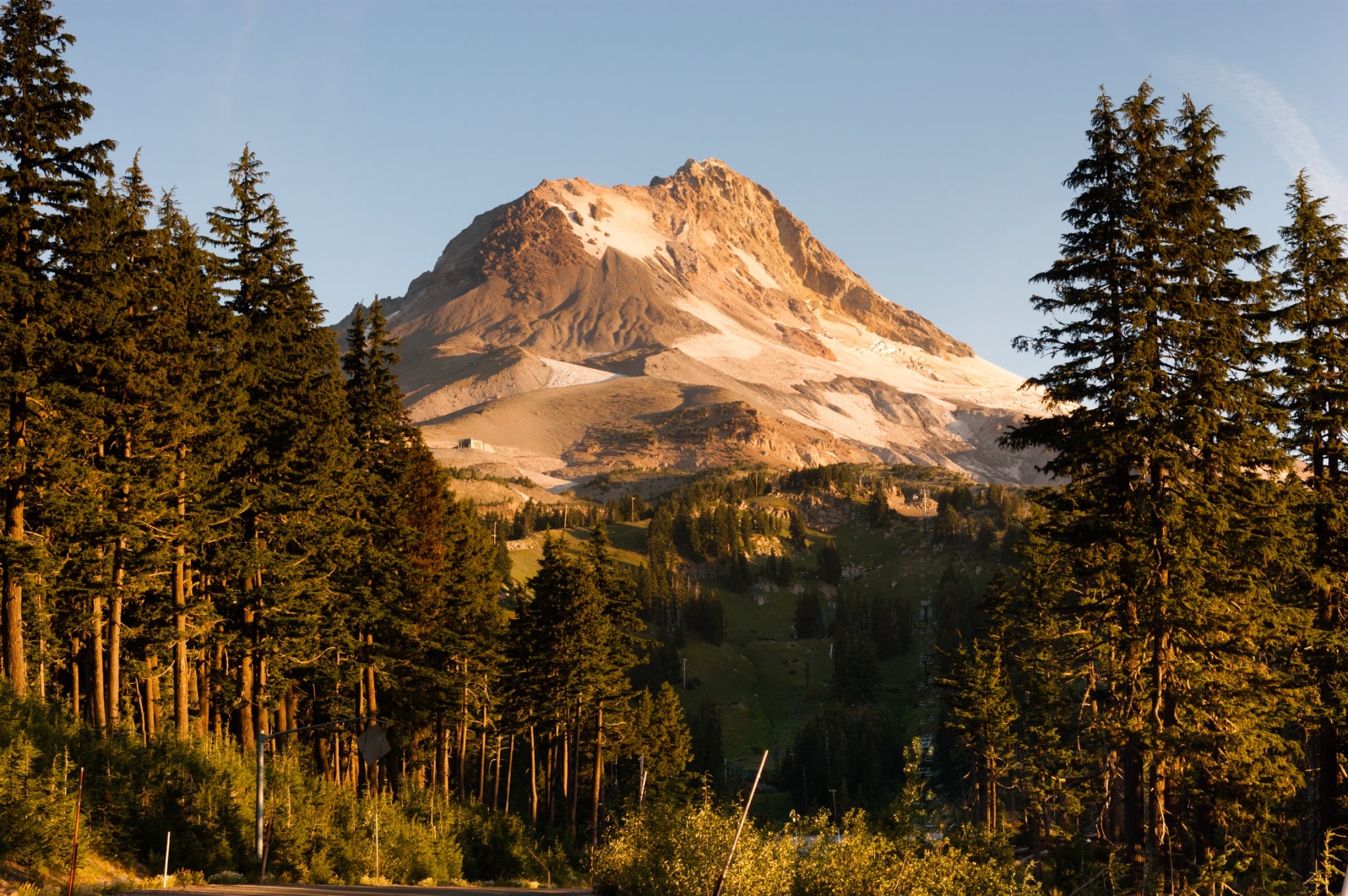 Mount Hood gezien vanaf bosrand in Oregon