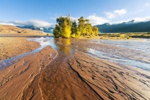 Bosje bij rivier in Great Sand Dunes National Park
