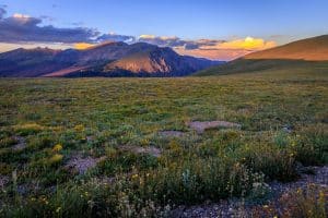 Bergweide bij zonsondergang in Colorado