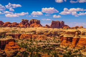 Rotsformaties in het Needles District bij Moab, Utah