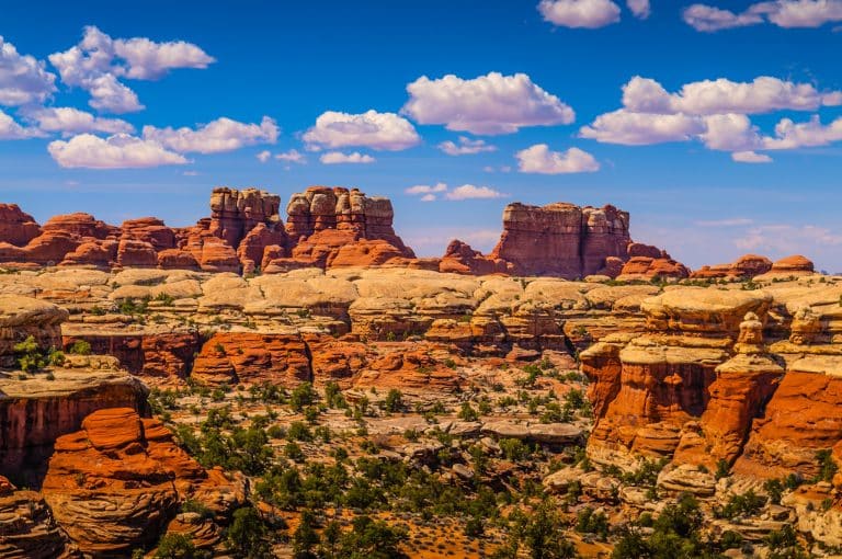 Rotsformaties in het Needles District bij Moab, Utah
