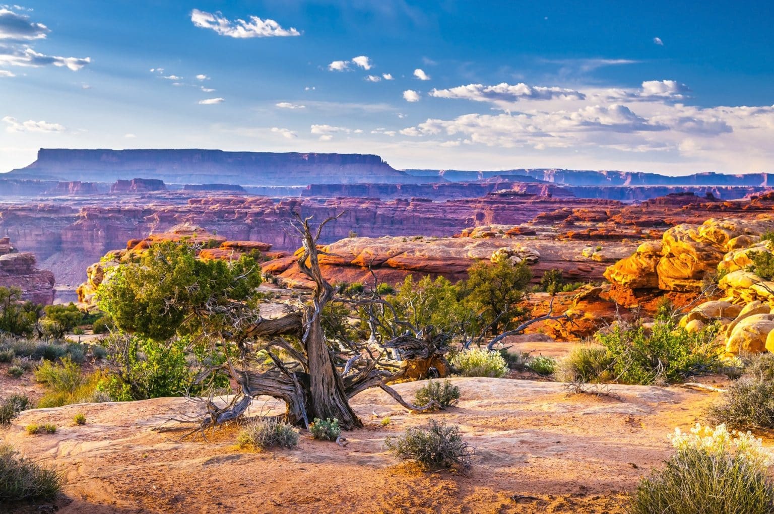 Uitzicht op Canyonlands bij Moab, Utah met struiken