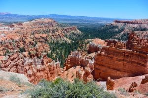Rode kliffen en bossen in Bryce Canyon in Utah