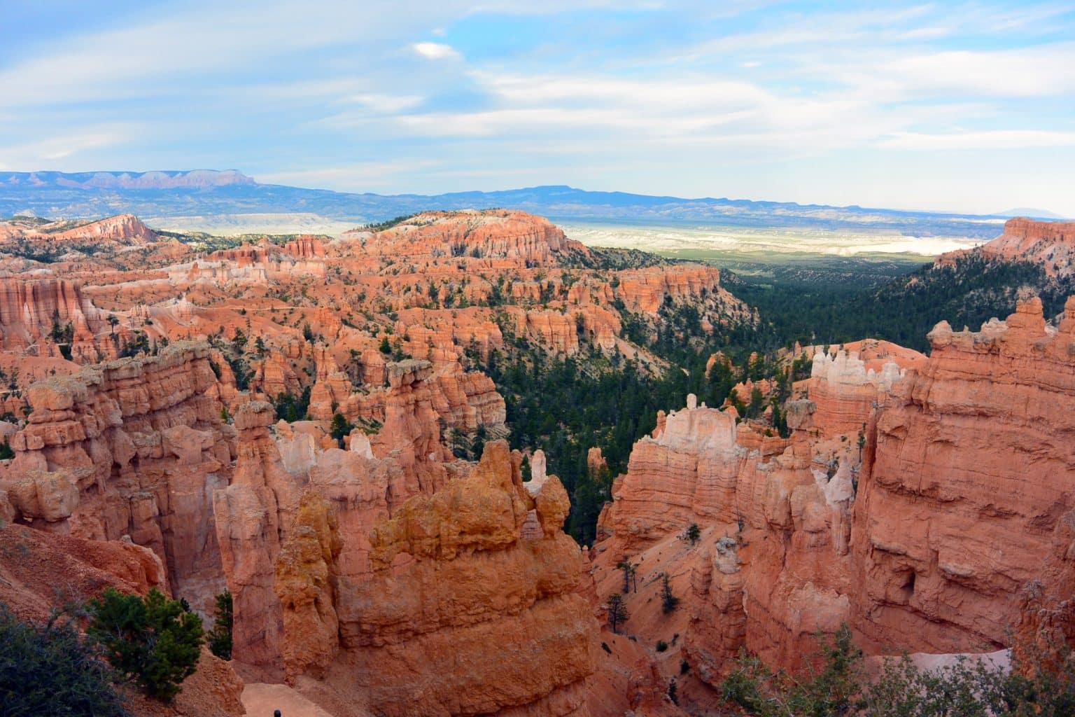 Smalle rotstorens in Bryce Canyon in Utah