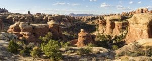 Needles District in Canyonlands National Park in Utah