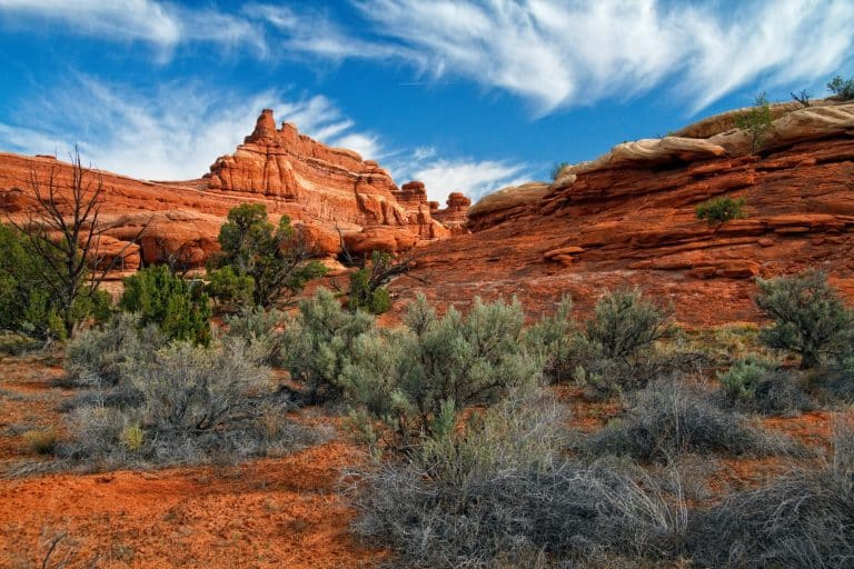 Rode rotsen en begroeiing in Canyonlands, Utah