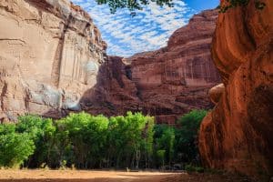 Groene bomen en rode kliffen in Canyon de Chelly, Arizona