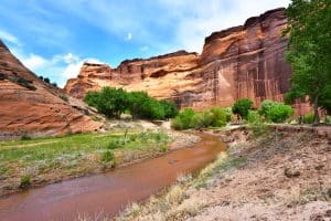 Rivier met groene bomen in Canyon de Chelly, Arizona