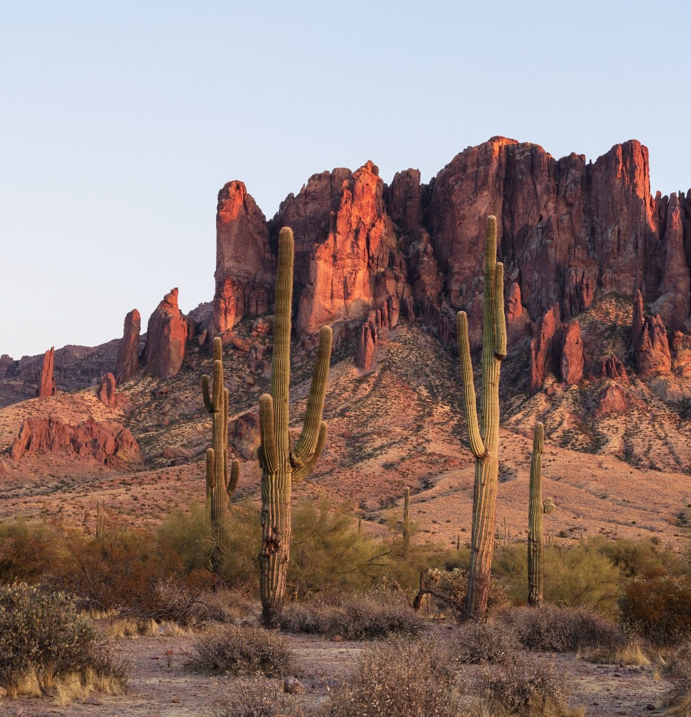 Superstition Mountains en cactussen bij Mesa, Arizona