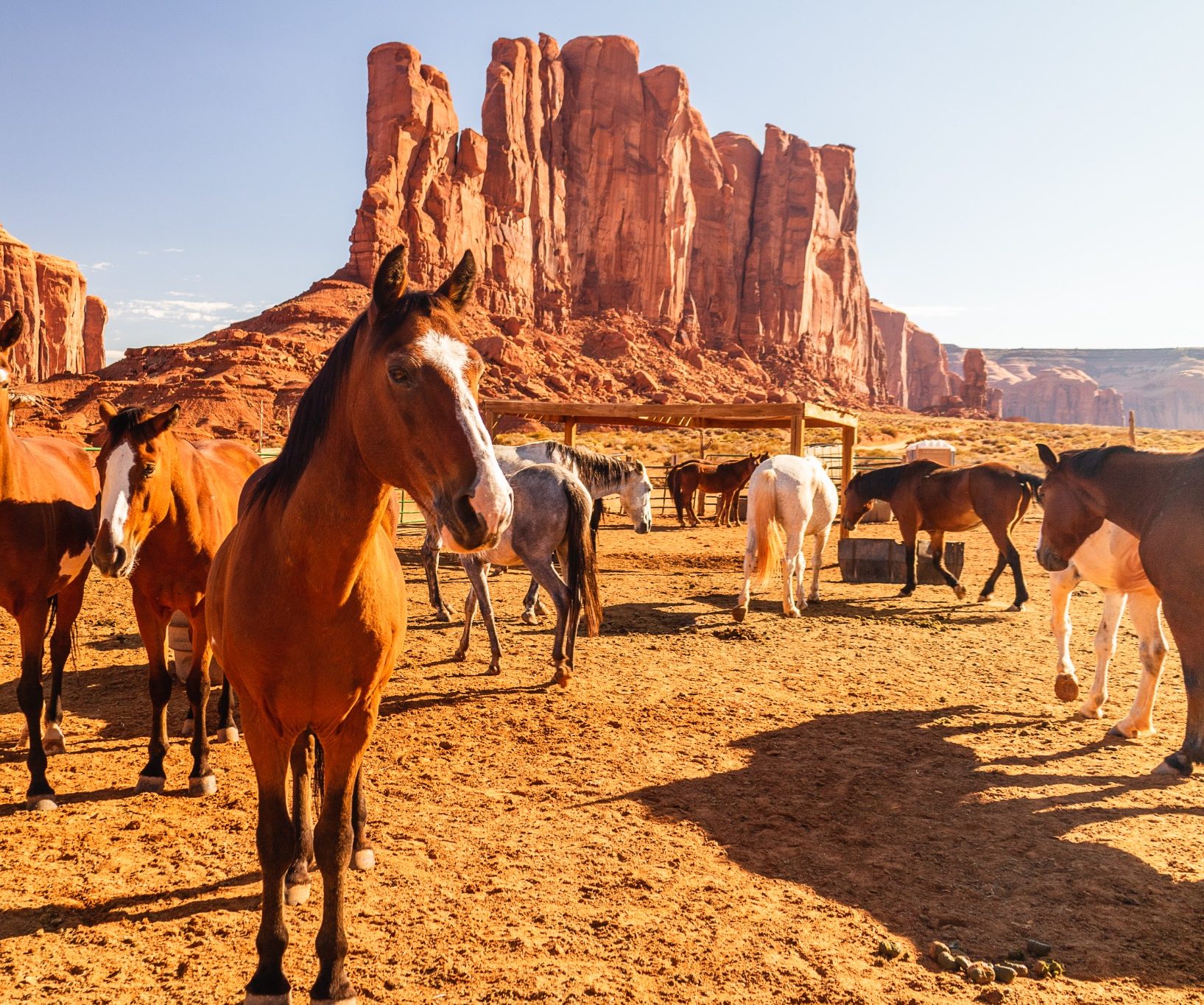 Paarden in een kraal in Monument Valley Arizona