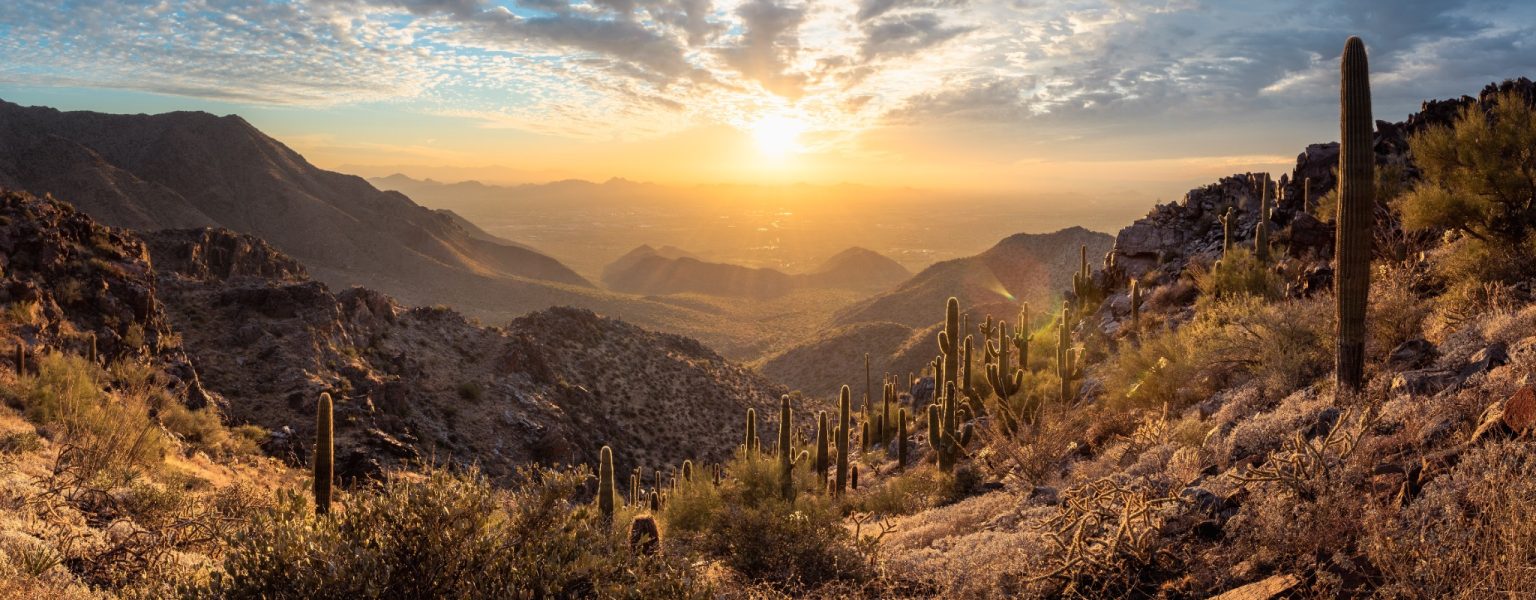 Zonsondergang boven Phoenix Arizona met cactussen
