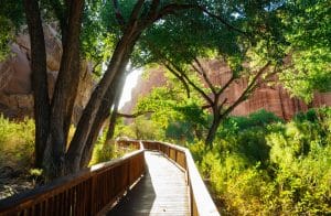 Houten wandelpad door bomen in Capitol Reef, Utah