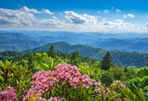 Uitzicht op Blue Ridge Mountains met bloemen, North Carolina