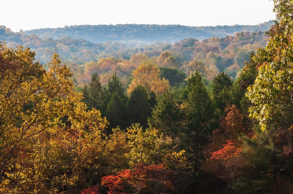 Herfstbos en heuvels in Mammoth Cave, Kentucky