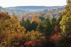 Herfstbos en heuvels in Mammoth Cave, Kentucky