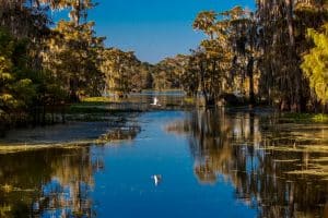 Moeras met cipressen in Louisiana
