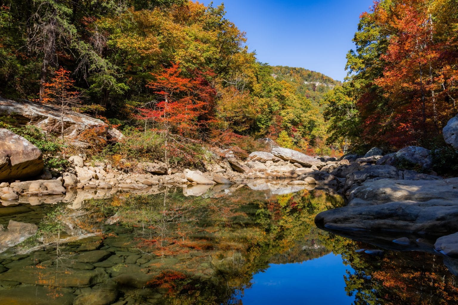 Herfstkleuren bij rivier in Chattanooga, Tennessee