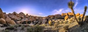 Panoramisch uitzicht op rotsen in Joshua Tree National Park, California