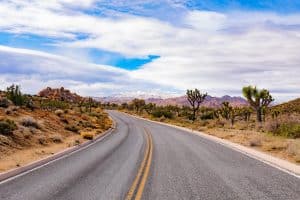 Weg door woestijnlandschap in Joshua Tree National Park, California