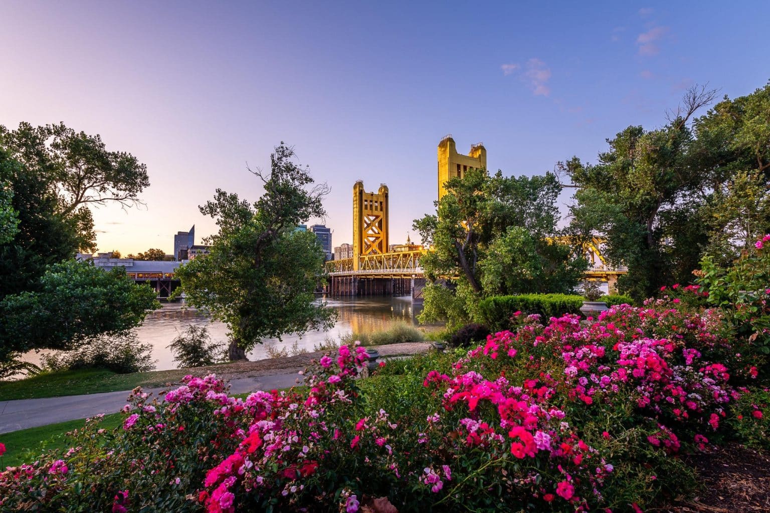 Tower Bridge Sacramento bij zonsondergang en bloemen