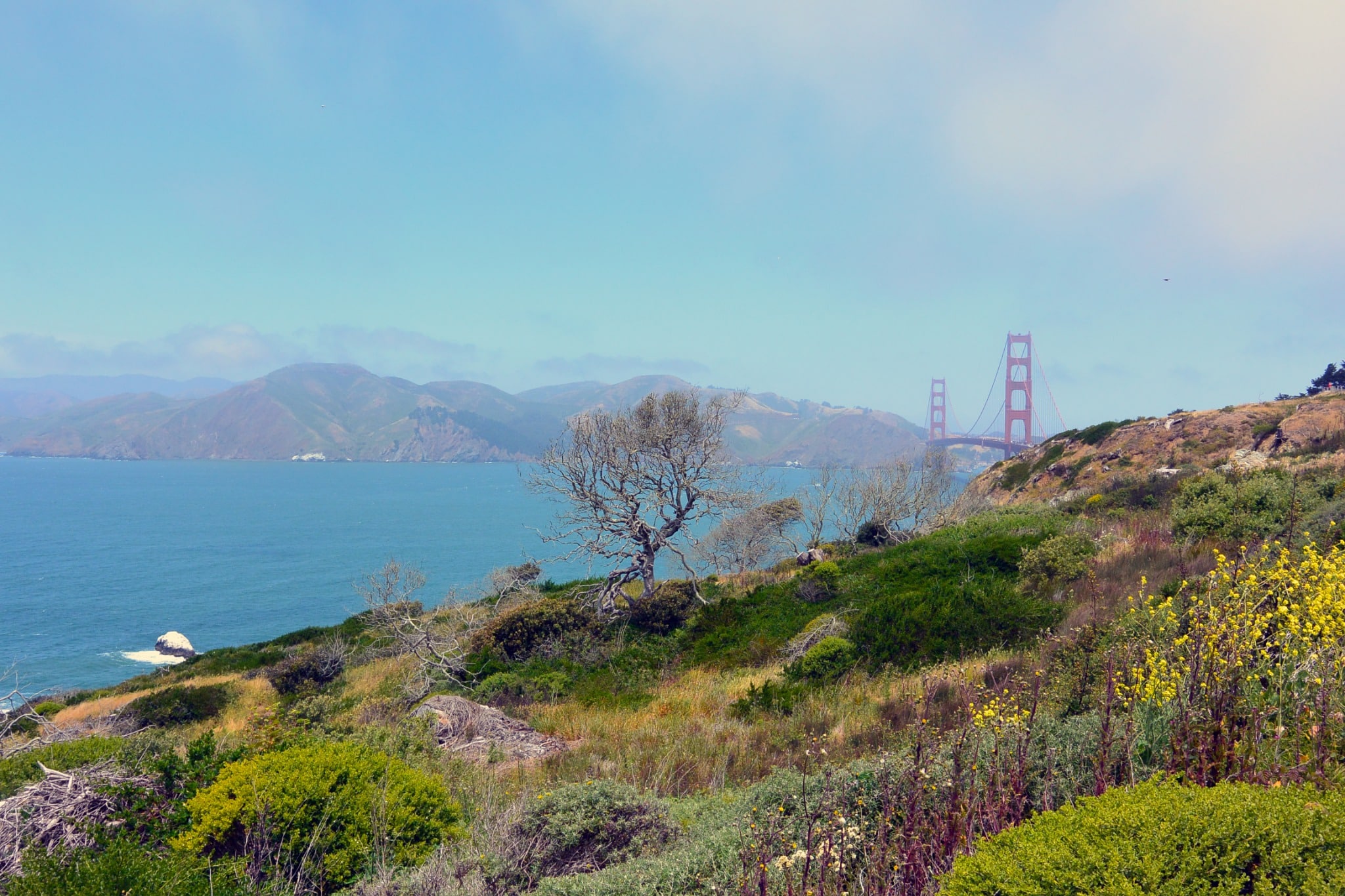 Golden Gate Bridge in San Francisco gezien vanaf een heuvel