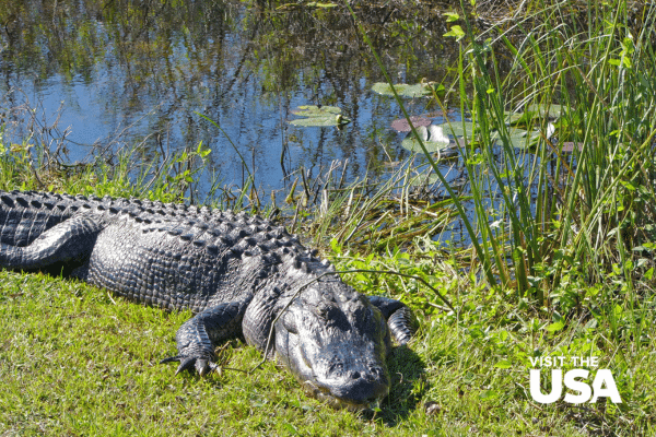 Everglades National Park