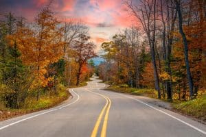 Slingerende weg door herfstbos in Door County Wisconsin