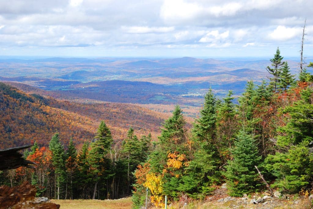 Uitzicht op bossen in de Green Mountains Vermont in de herfst