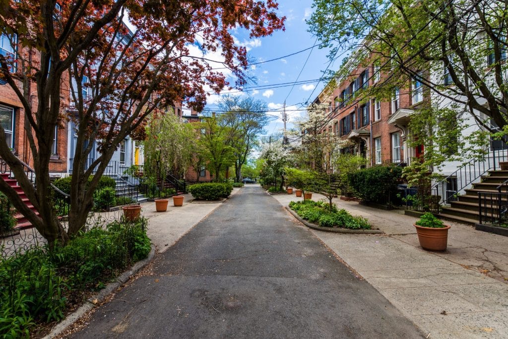 Historische straat in New Haven Connecticut met bomen