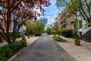 Historische straat in New Haven Connecticut met bomen