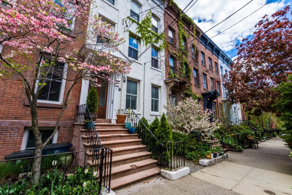 Rijtjeshuizen met bloesems in New Haven Connecticut