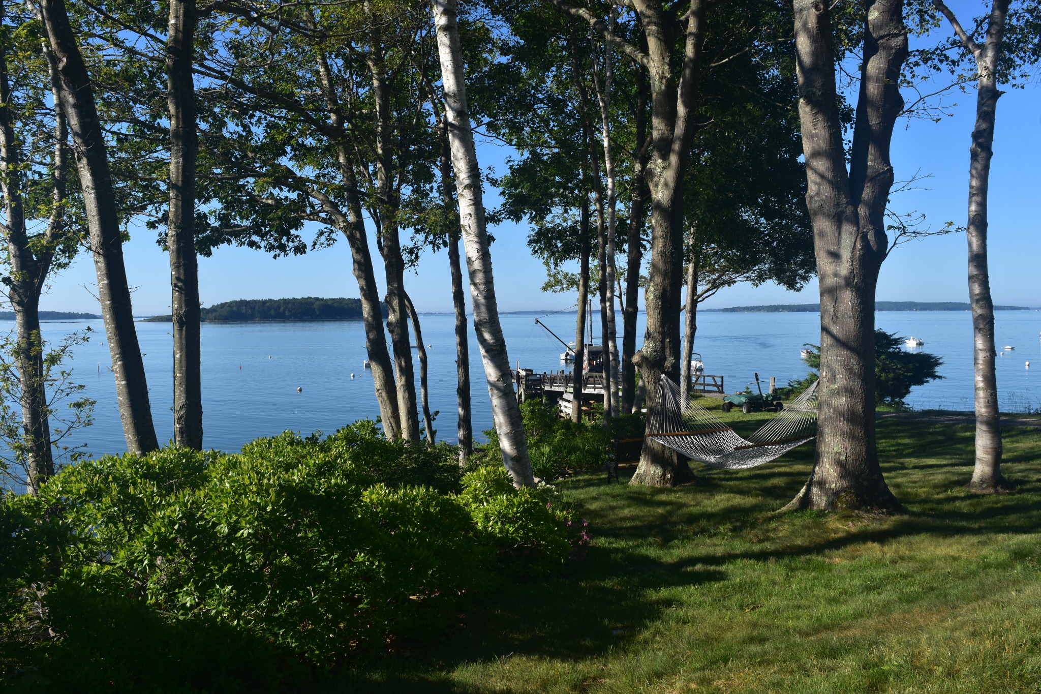 Hangmat en bomen aan kustlijn in Freeport, Maine
