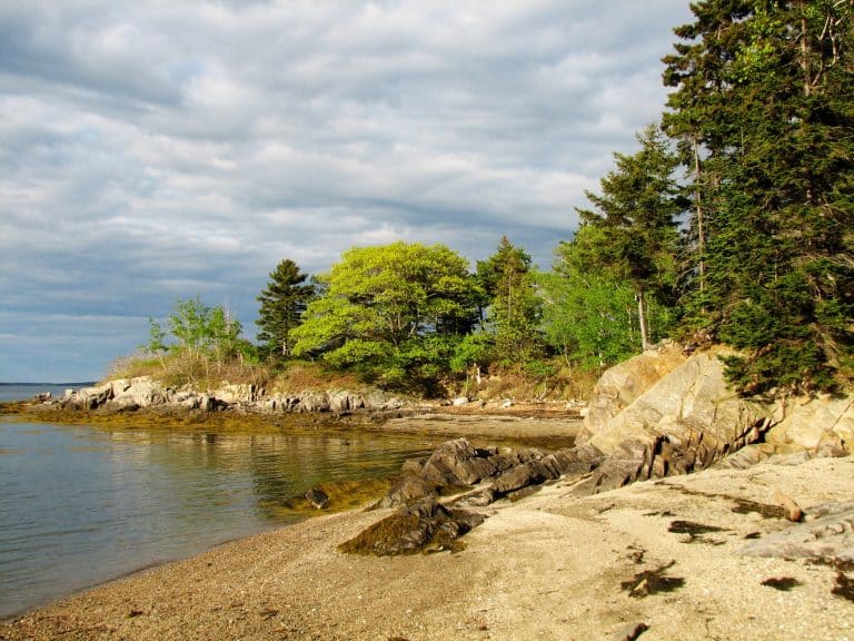 Rotsachtige kustlijn met bos in Freeport, Maine