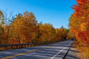 Weg door herfstbos in White Mountains New Hampshire