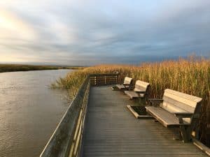 Houten wandelpad in natuurgebied bij Dover Delaware