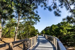 Houten wandelpad in natuurgebied bij Lewes Delaware