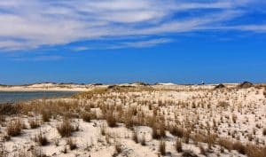 Duinen bij Rehoboth Beach Delaware