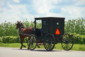 Amish koets op weg langs maïsveld in Lancaster Pennsylvania