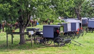 Amish koetsen geparkeerd onder bomen Lancaster Pennsylvania