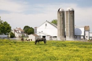 Witte boerderij met silo’s Lancaster Pennsylvania en grazende paarden