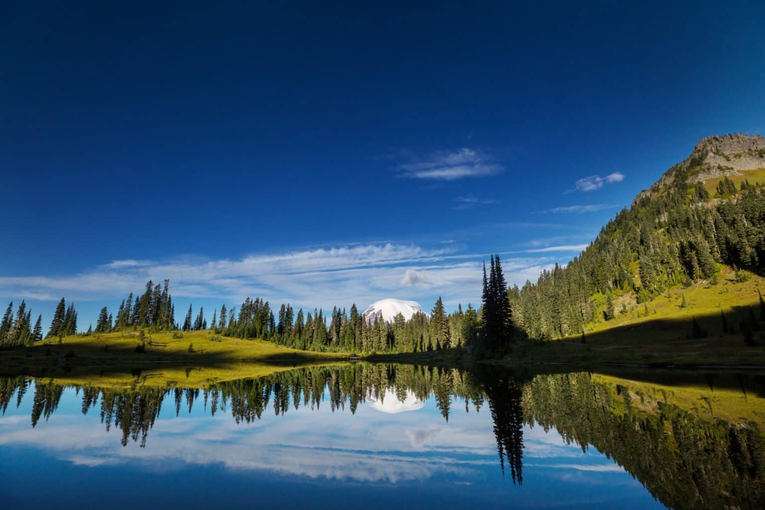 Alpien meer met Mount Rainier op de achtergrond