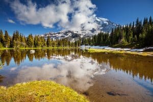 Meer met besneeuwde Mount Rainier in Washington